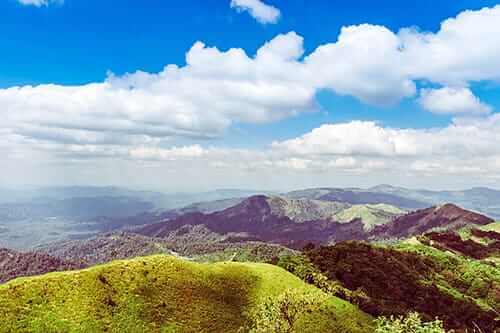 kratom and its origins