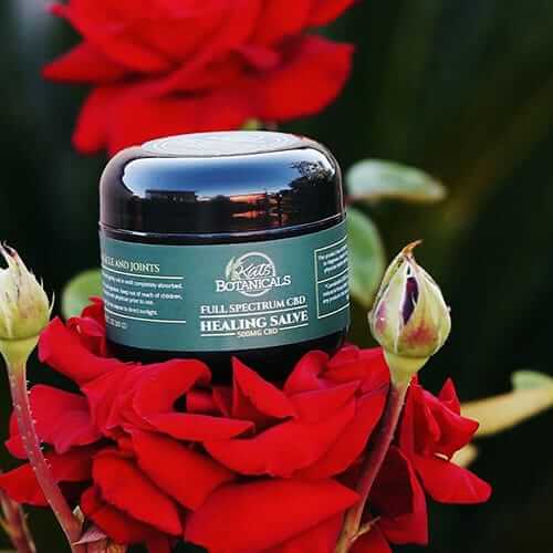 kats botanicals cbd healing salve