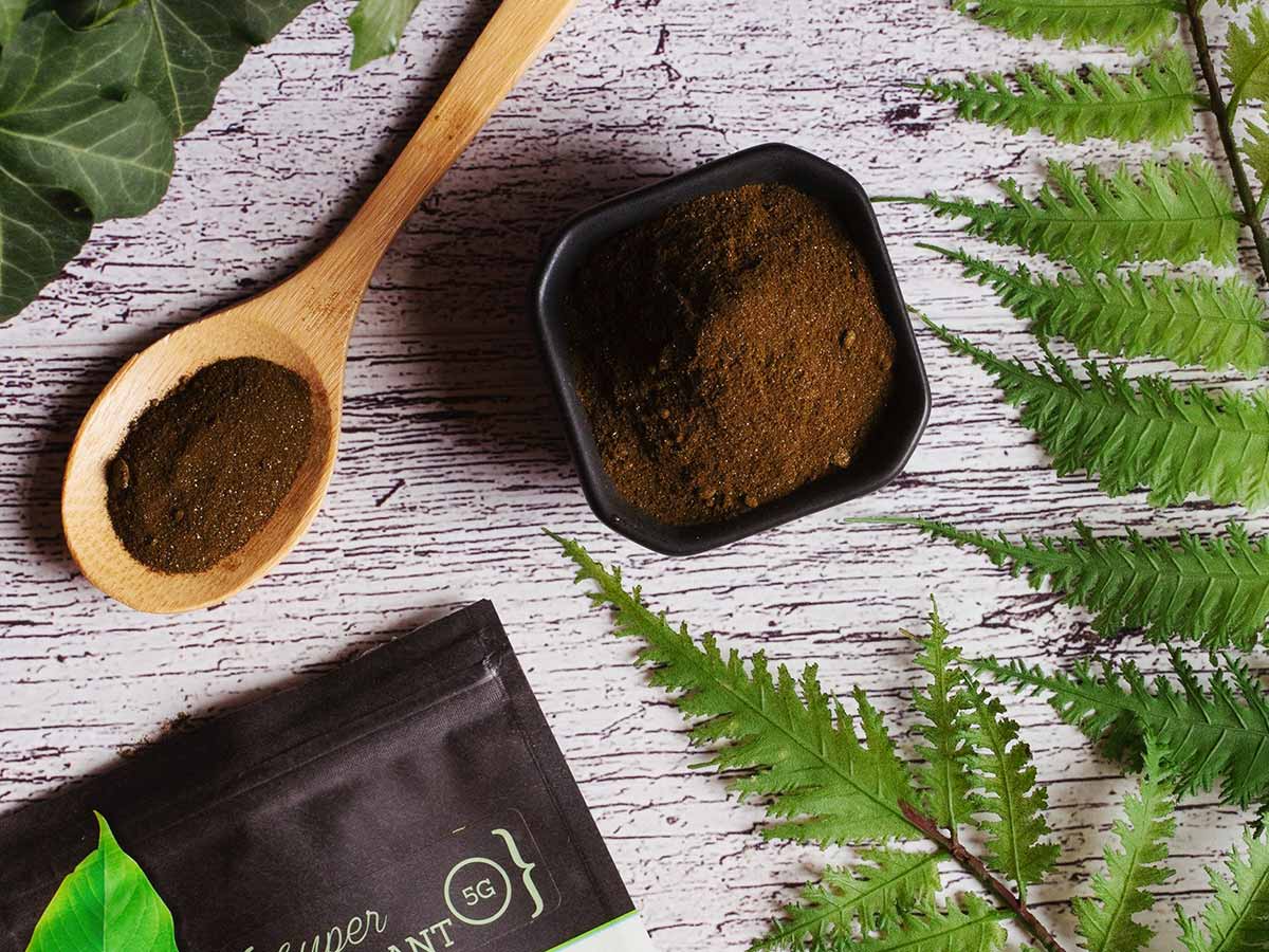 What Is Kratom’s Shelf Life feature image