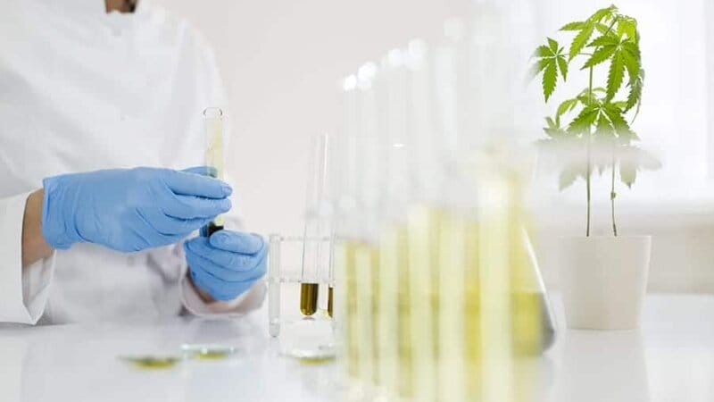 Why and How We Lab Test Our CBD