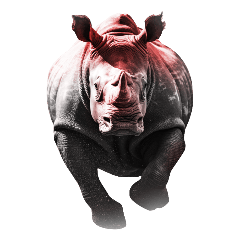 Rogue Rhino